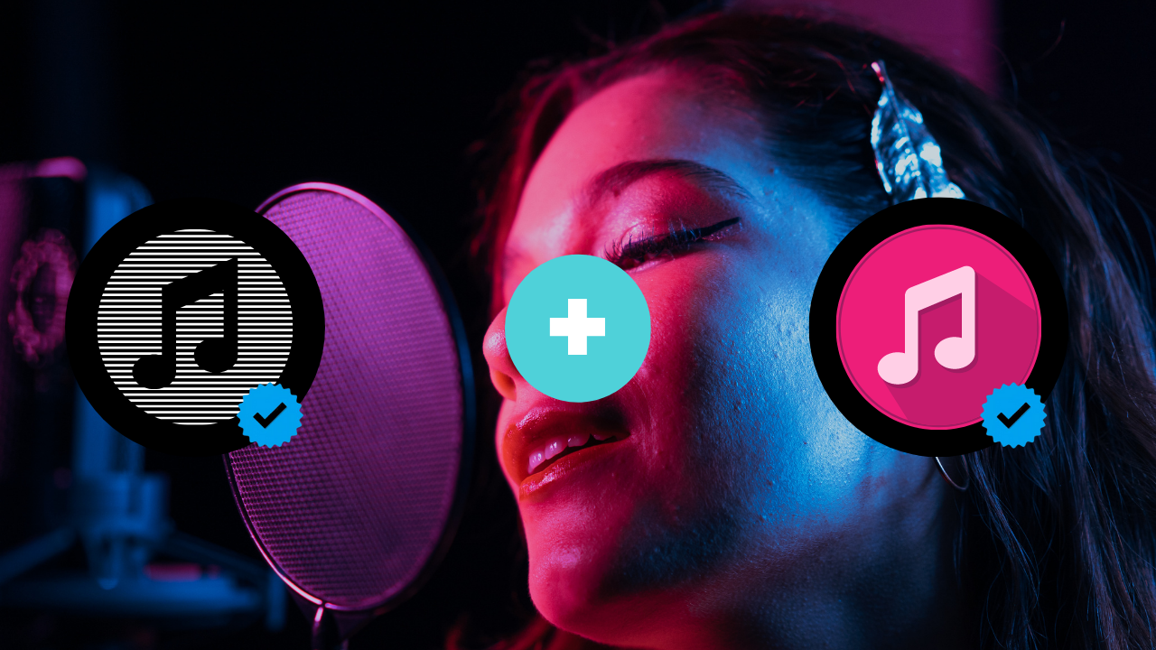 Spotify Mavi Tik İçin Sanatçı Seçimi Ekleme Alanı Düzenlemek